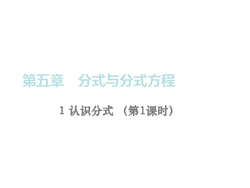 备用课件 1 认识分式 第1课时
