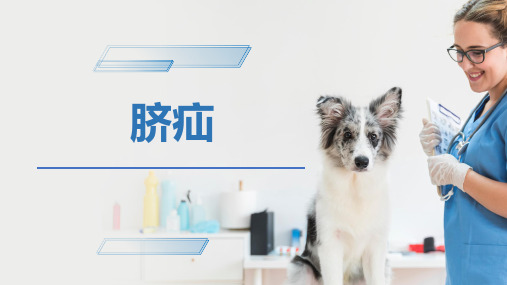 犬猫的消化系统疾病(脐疝、腹股沟阴囊疝、会阴疝)-宠医课件