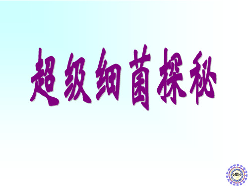 超级细菌