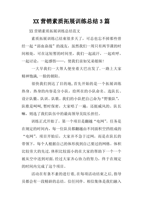 营销素质拓展训练总结3篇