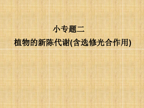 高考生物 第三轮突破小专题二 植物的新陈代谢(含选修光合作用)名师课件 新人教版