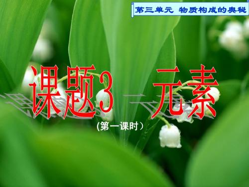 人教版化学九年级上第三单元 课题3 元素