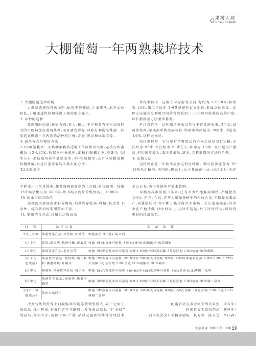 大棚葡萄一年两熟栽培技术
