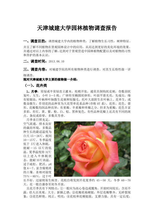 天津城建大学园林植物调查报告