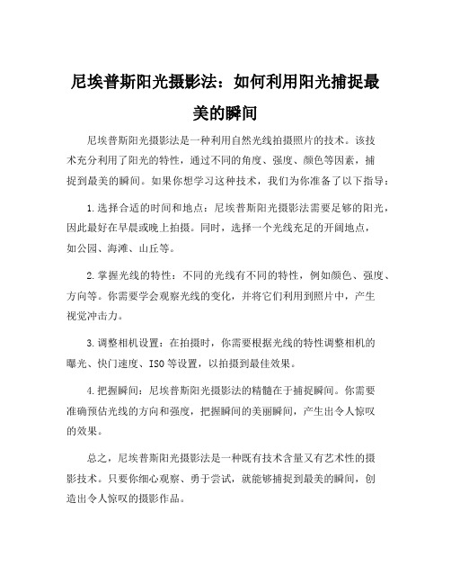 尼埃普斯阳光摄影法