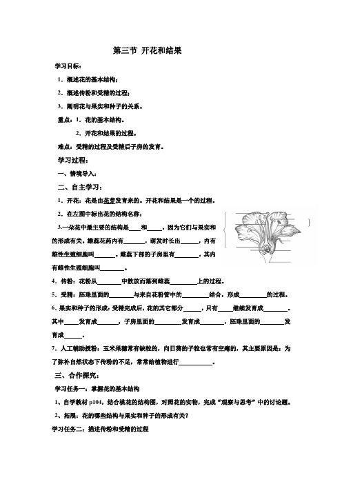 323第三节开花和结果