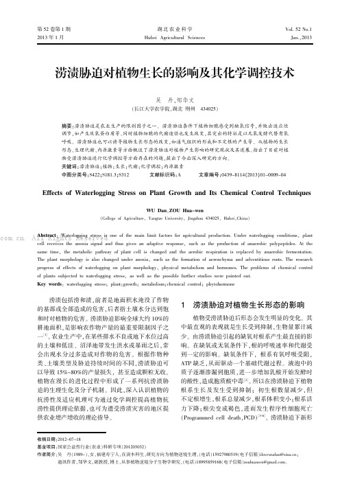 涝渍胁迫对植物生长的影响及其化学调控技术