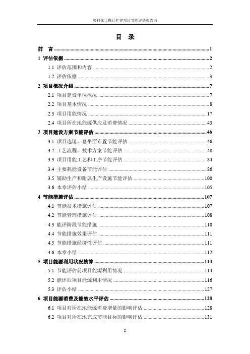染料化工搬迁项目节能评估报告.doc