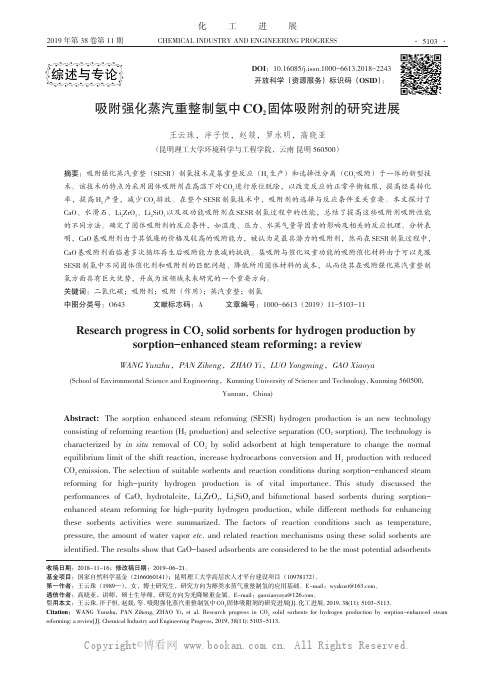 吸附强化蒸汽重整制氢中CO2固体吸附剂的研究进展