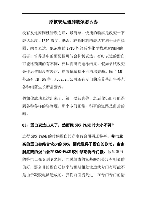 原核表达遇到瓶颈怎么办