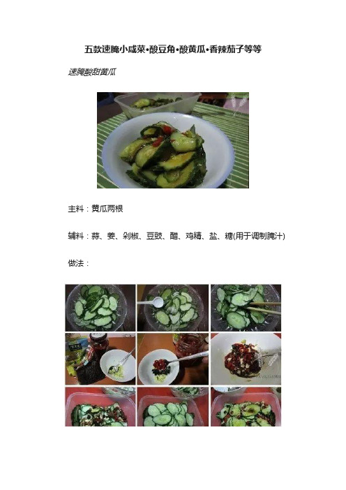 五款速腌小咸菜·酸豆角·酸黄瓜·香辣茄子等等