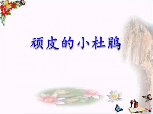 顽皮的小杜鹃_PPT优秀课件