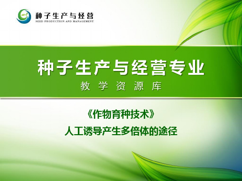 人工诱导产生多倍体的途径