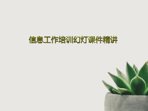 信息工作培训幻灯课件精讲共30页文档