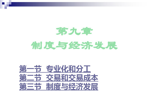 发展经济学第九章1015