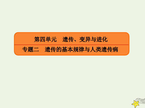 2020年高考生物二轮复习第四单元遗传、变异与进化专题二遗传的基本规律与人类遗传病课件
