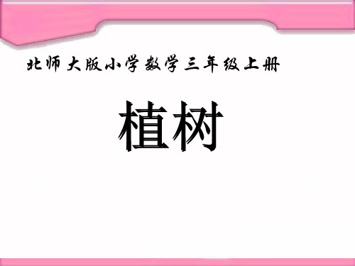 北师大三年级数学上册 植树PPT课件