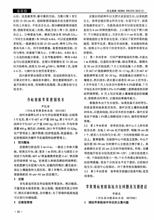 苹果矮砧密植栽培存在l闭题及发展建议