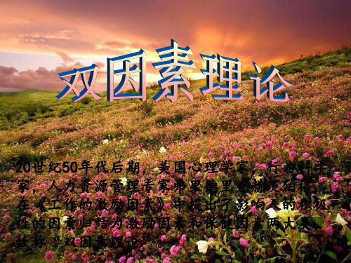 双因素理论