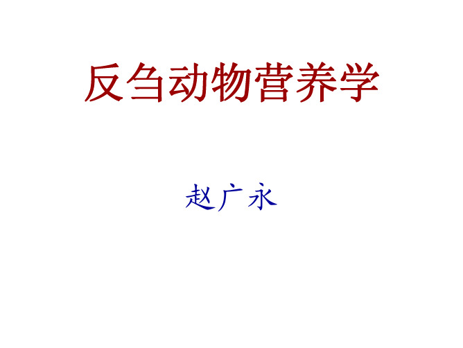反刍动物的唾液分泌与瘤胃