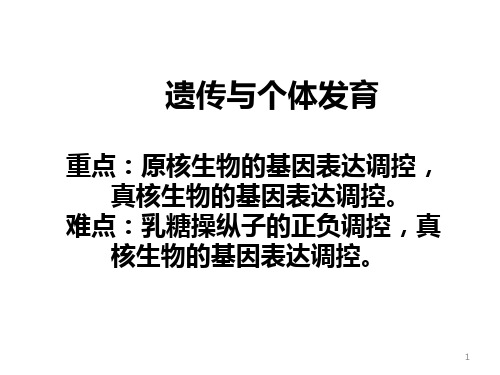 遗传与个体发育