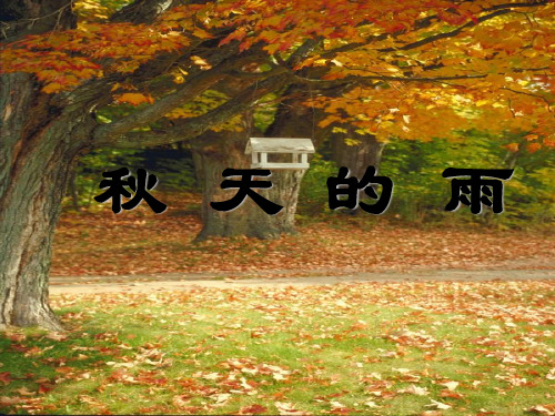 新版三年级上册语文课件-06 秋天的雨2∣人教(部编版)(共17张PPT)演示课件