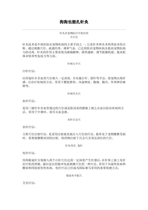 狗狗也能扎针灸