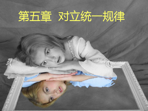 对立统一规律