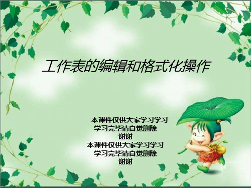 工作表的编辑和格式化操作