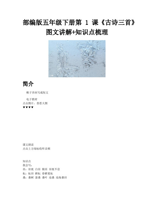 稚子弄冰写成短文_部编版五年级下册第1课古诗三首图文讲解知识点梳理