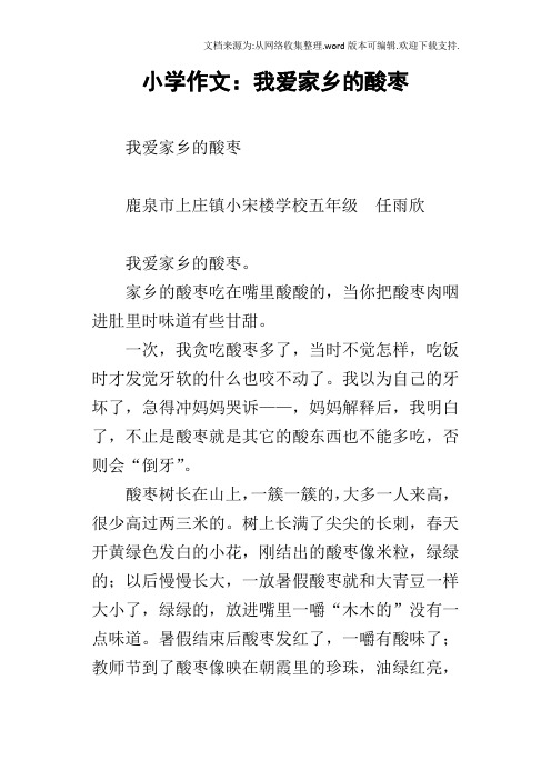 小学作文：我爱家乡的酸枣