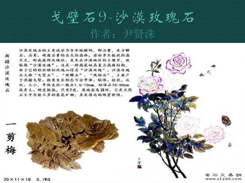 戈壁石9-沙漠玫瑰石