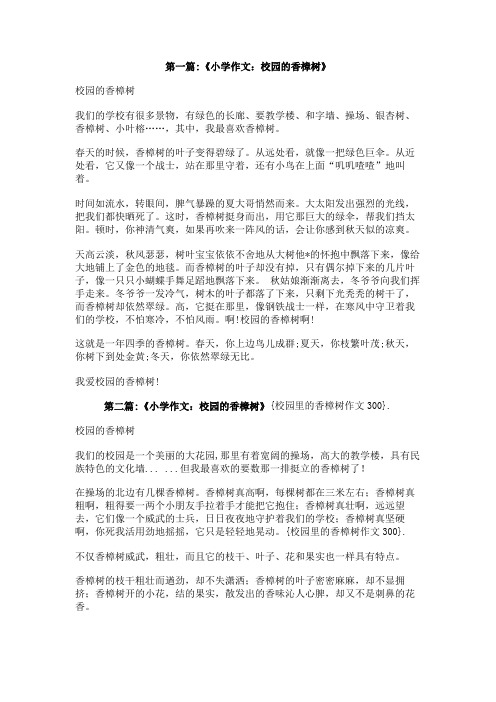 校园里的香樟树作文300