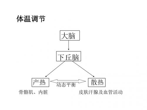 水和无机盐的调节ppt