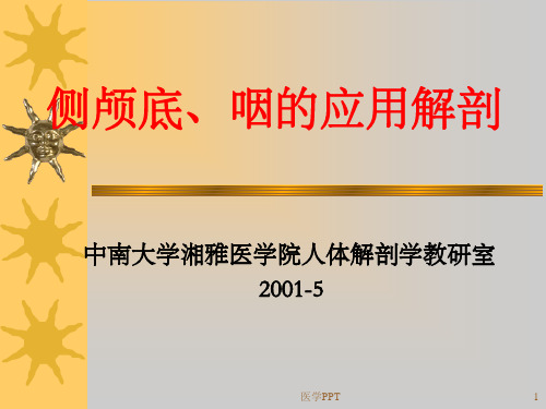 侧颅底、咽的应用解剖 (2)