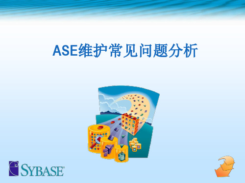 ASE维护常见问题分析