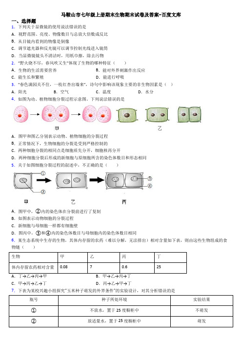 马鞍山市七年级上册期末生物期末试卷及答案-百度文库