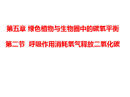 第二节呼吸作用吸收氧气释放二氧化碳课件