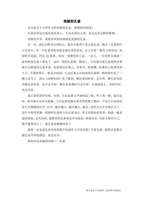 美丽的孔雀_小学作文
