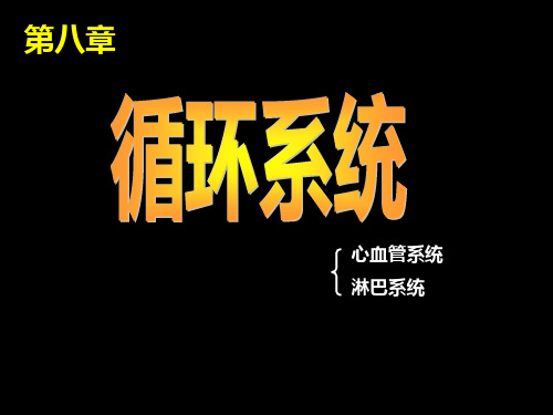 人体系统解剖学局部解剖学PPT课件 循环系统 心脏