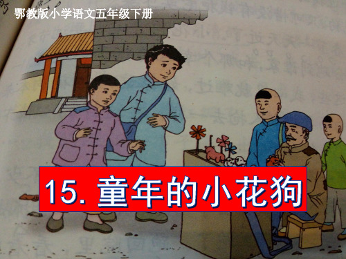 五年级下册语文课件-5.3 童年的小花狗｜鄂教版 (共17张PPT)