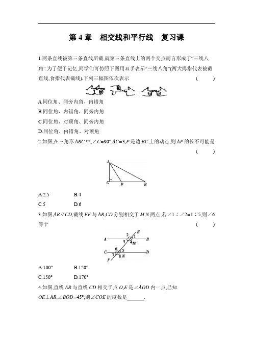 第4章 相交线和平行线 复习课 课时作业(含答案)(2024)数学华东师大版七年级上册