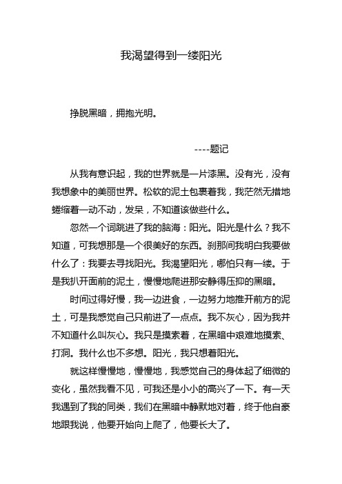 我渴望得到一缕阳光