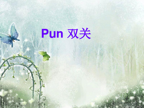 双关PUN