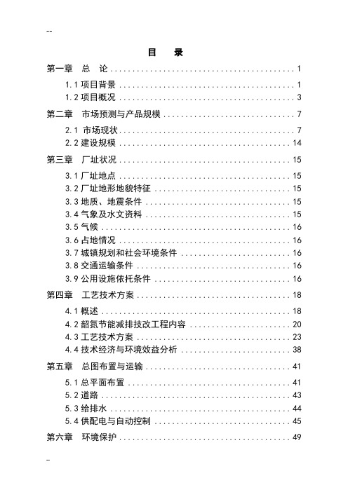 某某氮肥厂节能减排技术改造项目可行性研究报告