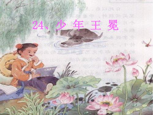苏教版五年级上册《少年王冕》PPT课件3