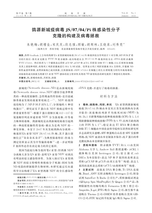 鸽源新城疫病毒JS0704Pi株感染性分子克隆的构建及病毒拯救1