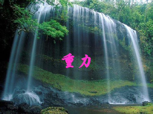 浙教版七年级科学下册3.3重力