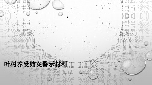 叶树养受贿案警示材料