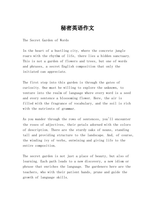 秘密英语作文